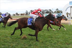 Devilenko Salutes at Pakenham Devilenko Salutes at Pakenham