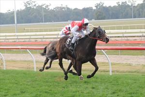 Stynes cruises to victory at Seymour Stynes cruises to victory at Seymour