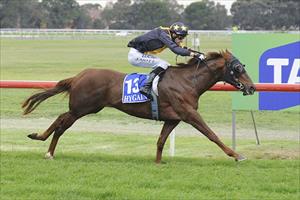 Zupberb an easy winner at Werribee Zupberb an easy winner at Werribee